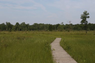 Irwin Prairie Eyalet Doğa Koruma Alanı, Toledo, Ohio 'da sahil yolu.