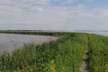 Pointe Mouillee Eyalet Oyun Alanında Geçit, Ohio 