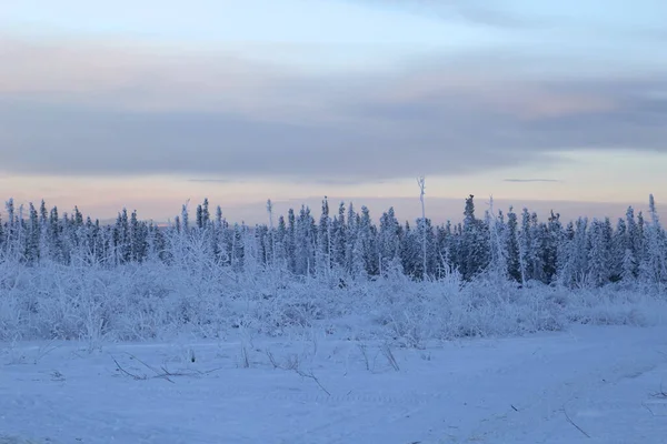 Типичный Пейзаж Вокруг Дельты Аляска Разгар Зимы — стоковое фото