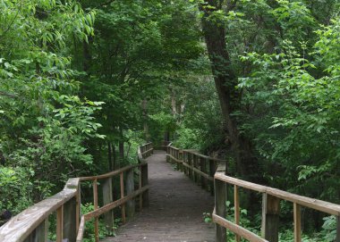 Magee Bataklık İskelesi, Oak Limanı, Ohio
