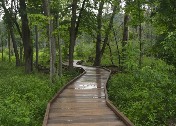 Sentier Boardwalk Rocky River Reservation Cleveland Ohio — Photo