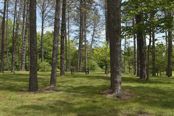 Holden Arboretum Kirtland Ohio — Stock Photo, Image