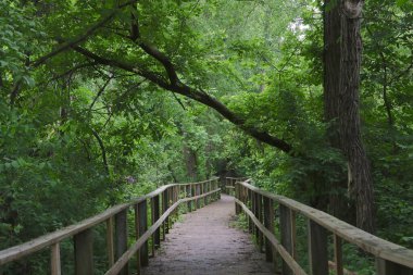 Magee Marsh Boardwalk, Toledo, Ohio