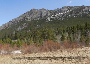 Kışın Lily Gölü 'nde sulak arazi, Rocky Dağı Ulusal Parkı, Colorado
