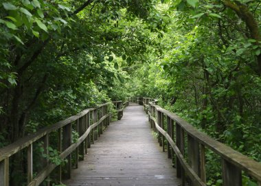Magee Bataklık Kuş Yolu Sahil Yolu, Toledo, Ohio