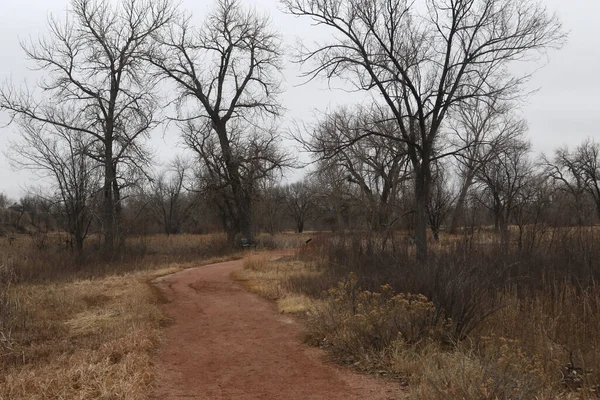 Nature Trail at Fountain Creek Regional Park, Fountain, Colorado