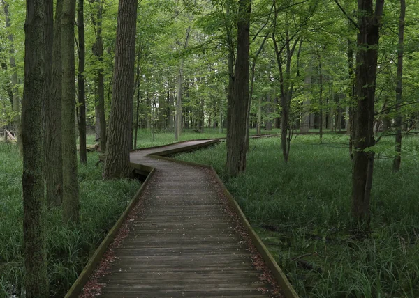 Boardwalk Trail Maumee Bay State Park Oregon Ohio — Foto de Stock