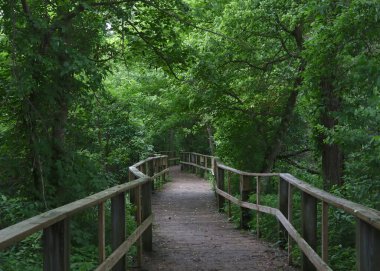Magee Bataklık Kuş Patikası, Ohio