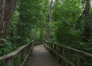 Magee Bataklık Kuş Patikası, Ohio