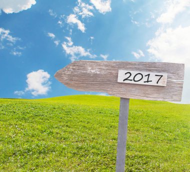 Ahşap boş işareti ile metin 2017 üzerinde yeşil çim sahası 