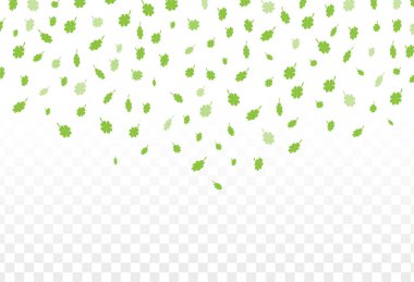 Bir St Patrick's Day Yeşil yonca vektör çizim bırakır