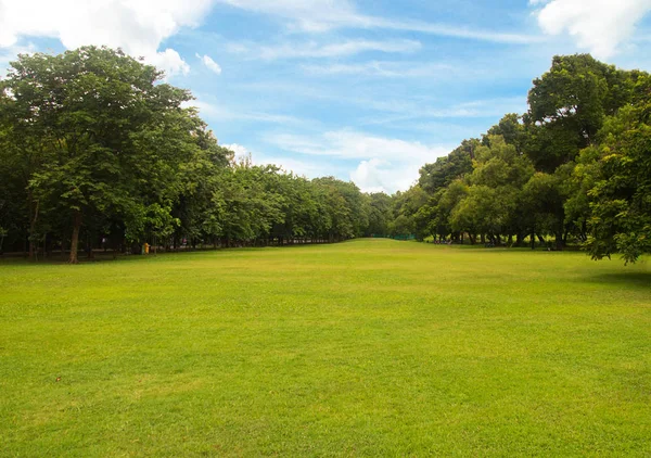 美しい公園内の緑の草緑の木々 — ストック写真