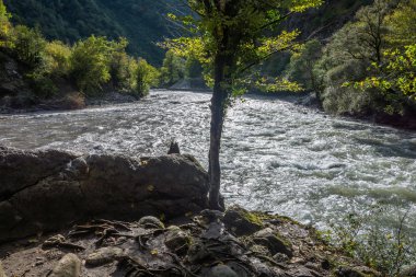 Dağ nehir Bzıb, Abhazya. 