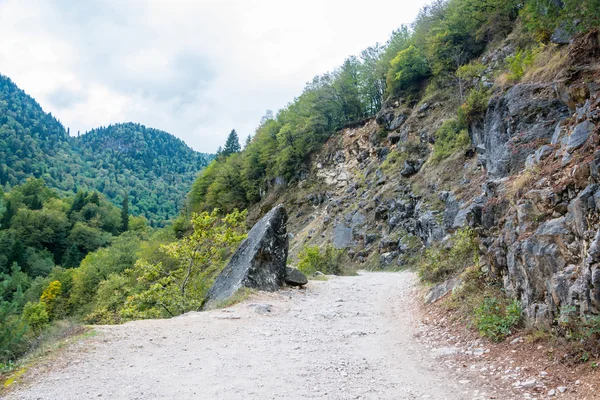 Camino de montaña en Abjasia . — Foto de Stock