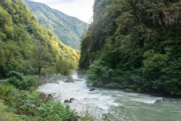 Górskie rzeki Bzyb, Abchazja. — Zdjęcie stockowe