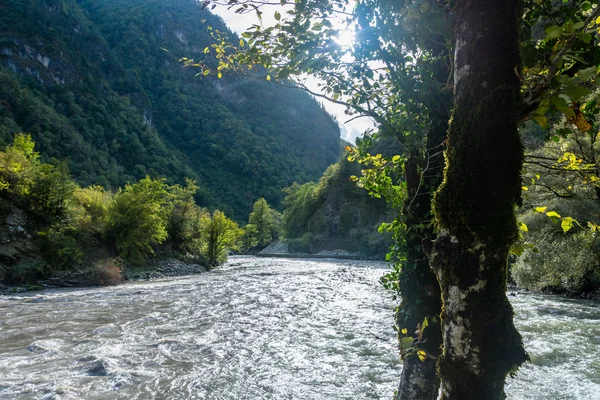 Río de montaña Bzyb, Abjasia . — Foto de Stock