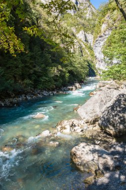 Dağ nehir, Abhazya. 