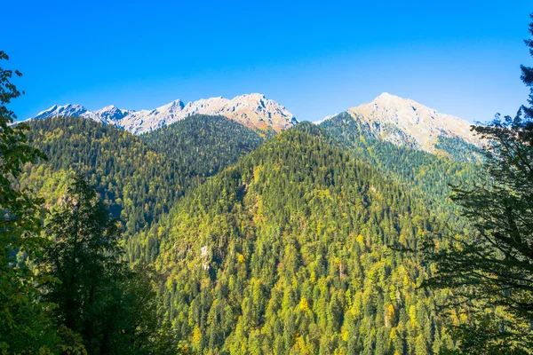Otoño en las montañas del Cáucaso, Abjasia . — Foto de Stock