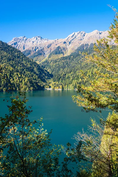 Lago Ritsa, Abjasia . — Foto de Stock