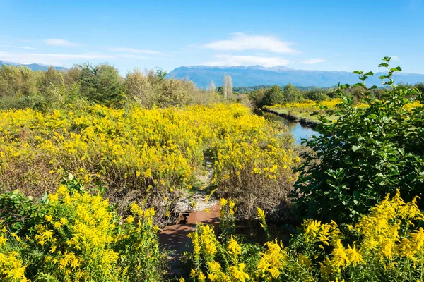 Paisaje otoñal en Abjasia . — Foto de Stock