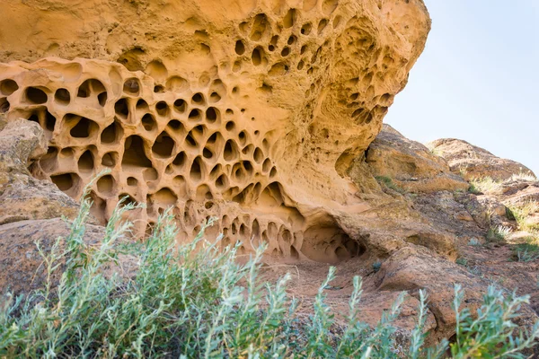 A large rock similar to a honeycomb. — Stock Photo, Image