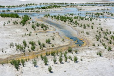Tuz Gölü Elton, Volgograd bölgesi, Rusya Federasyonu.