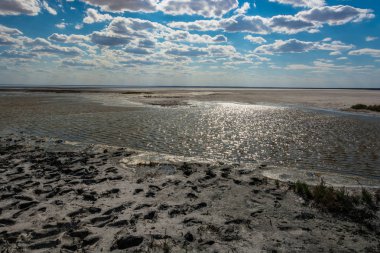 Egzotik Gölü Elton. 