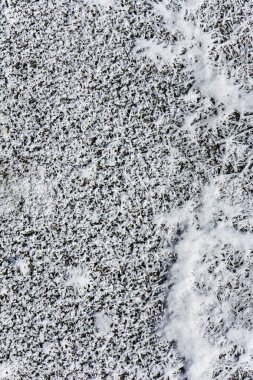 Tuz Gölü Elton güzel kristalleri. 