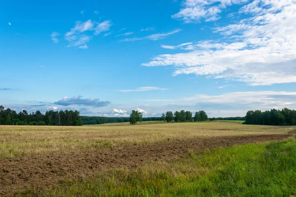 Yaz peyzaj, Rusya Federasyonu. 