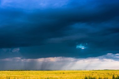 Karanlık yağmur gökyüzü ve sarı alan. 