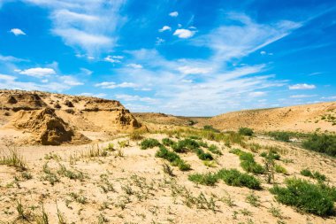 Bir yaz gününde manzara çöl. 