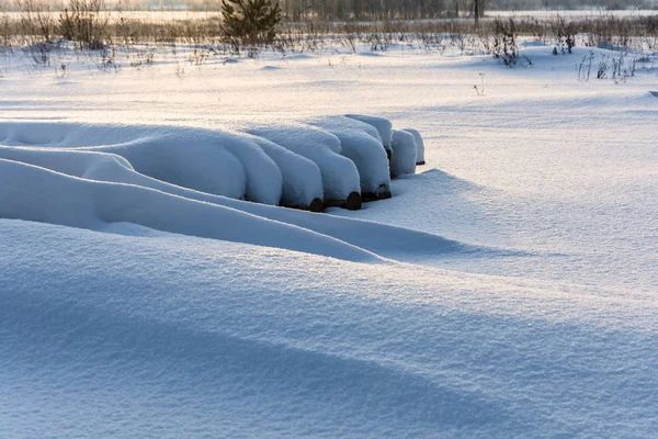 Зимний скетч с бревнами, покрытыми снегом . — стоковое фото