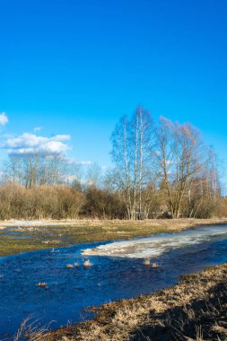 manzara güzel bahar. 