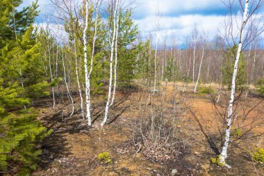manzara güzel bahar.
