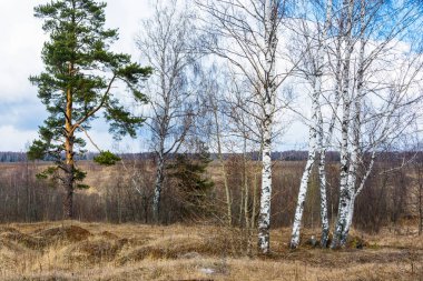 manzara güzel bahar. 