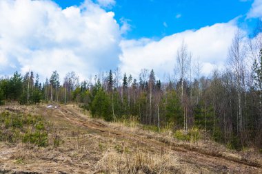 manzara güzel bahar. 