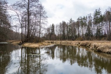 Bir güzel bahar manzara nehirdir.