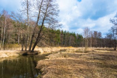Bir güzel bahar manzara nehirdir. 