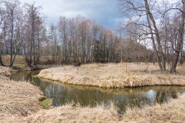 Bir güzel bahar manzara nehirdir. 