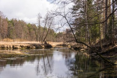Bir güzel bahar manzara nehirdir. 