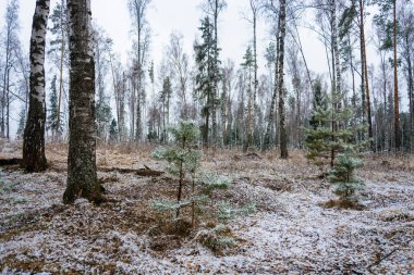 Güzel nehir manzara yoğun kar yağışı sonra. 