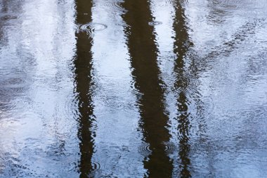 Soyutlama. Gökyüzü ve ağaçlar su yansıması. 