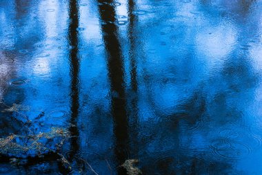 Soyutlama. Gökyüzü ve ağaçlar su yansıması. 