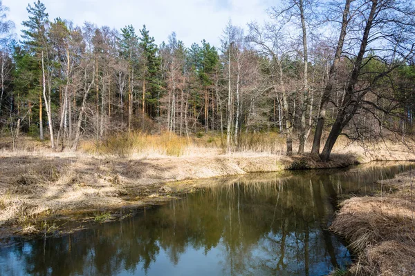 River is a beautiful spring landscape. — Stock Photo, Image