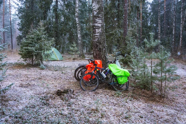 O resto do Ciclismo na floresta em tempo nevado . — Fotografia de Stock