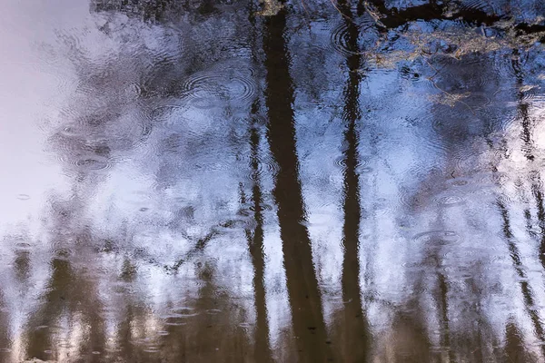 Abstração. O reflexo na água do céu e das árvores . — Fotografia de Stock