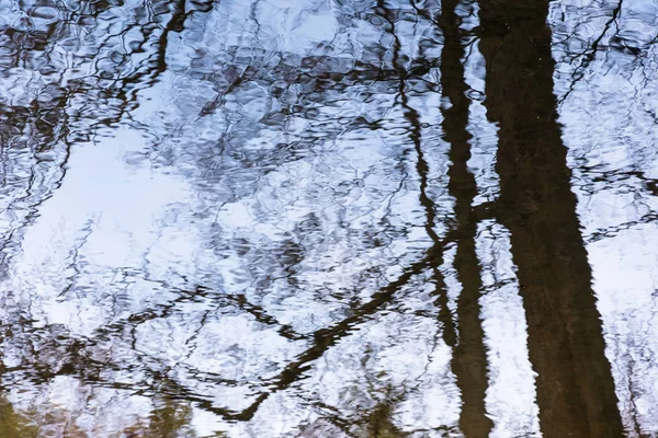 Abstracţie. Reflecția în apa cerului și a copacilor . — Fotografie, imagine de stoc