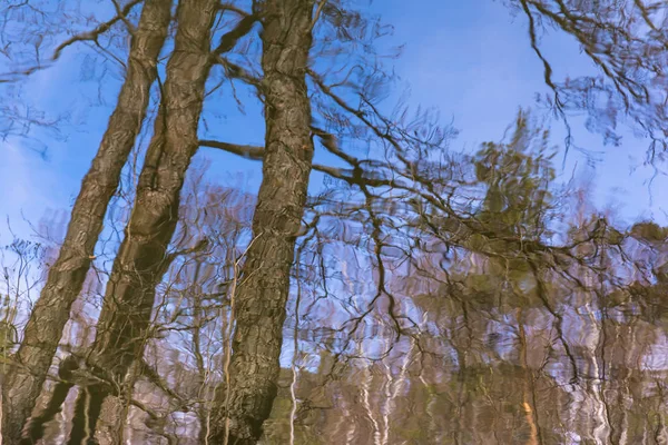 抽象化です。空と木の水の反射. — ストック写真