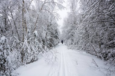 Bir kayak gezi turist bir grup. 