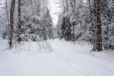 Bir kayak gezi turist bir grup. 